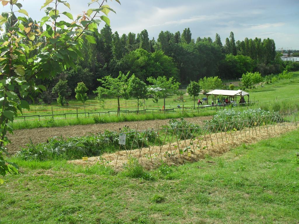 Agriturismo Case Mori Rimini Exterior foto